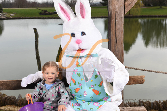 Easter bunny 18-6344