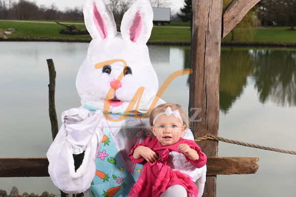 Easter bunny 18-6347