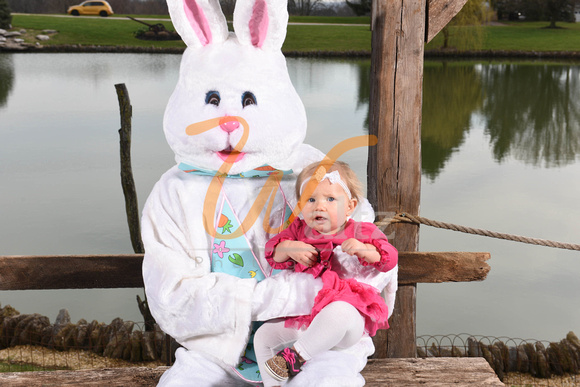 Easter bunny 18-6349