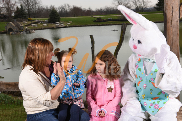Easter bunny 18-6352