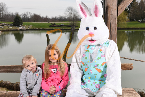 Easter bunny 18-6356
