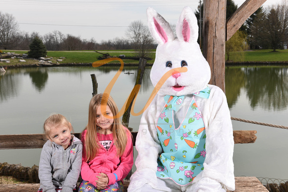 Easter bunny 18-6357