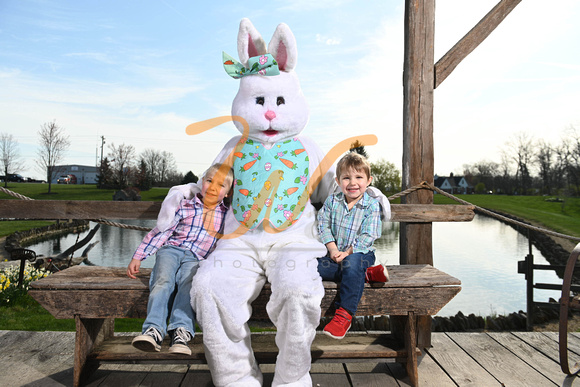 Caseys Easter Bunny 21-1280