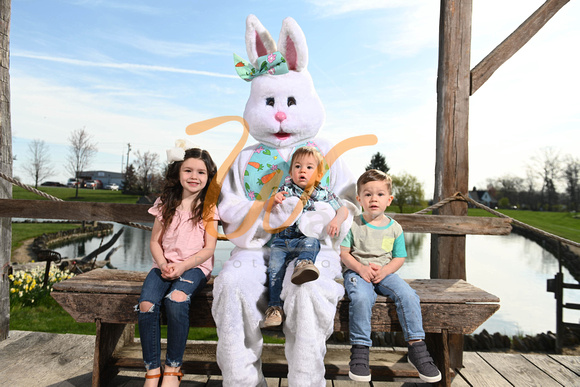 Caseys Easter Bunny 21-1286