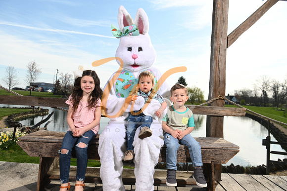 Caseys Easter Bunny 21-1288