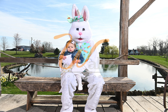 Caseys Easter Bunny 21-1291