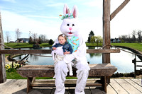 Caseys Easter Bunny 21-1293
