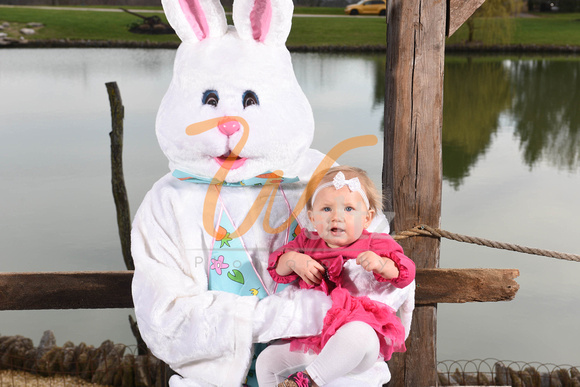 Easter bunny 18-6348