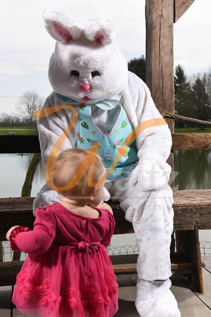 Easter bunny 18-6351