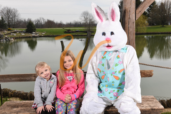 Easter bunny 18-6355